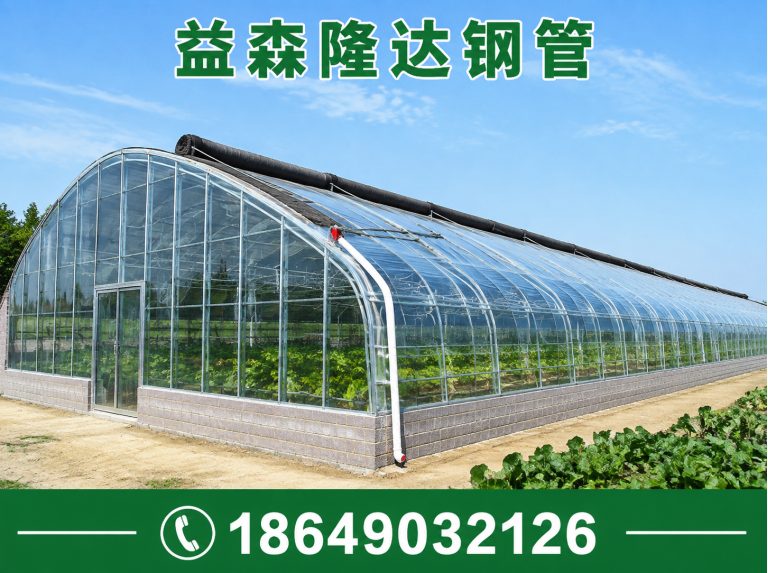 宁河区日光温室大棚，连栋温室大棚，单体大棚，塑料大棚，育苗大棚，养殖大棚展示图